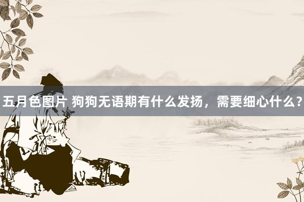 五月色图片 狗狗无语期有什么发扬，需要细心什么？