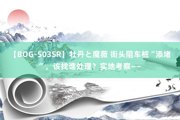 【BOG-503SR】牡丹と魔薇 街头阻车桩“添堵”，该找谁处理？实地考察——