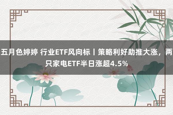 五月色婷婷 行业ETF风向标丨策略利好助推大涨，两只家电ETF半日涨超4.5%