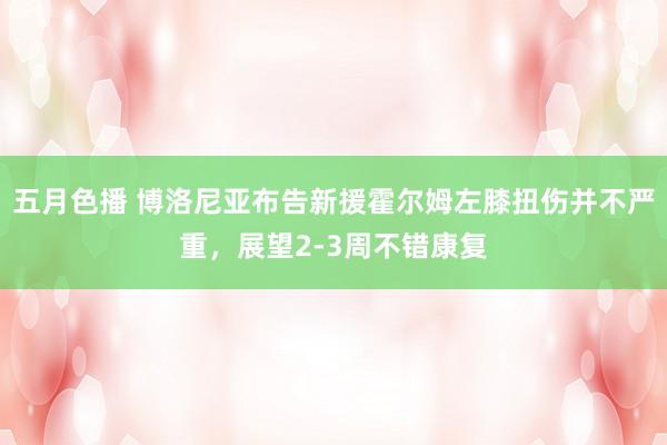 五月色播 博洛尼亚布告新援霍尔姆左膝扭伤并不严重，展望2-3周不错康复