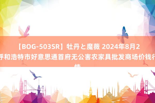 【BOG-503SR】牡丹と魔薇 2024年8月2日呼和浩特市好意思通首府无公害农家具批发商场价钱行情