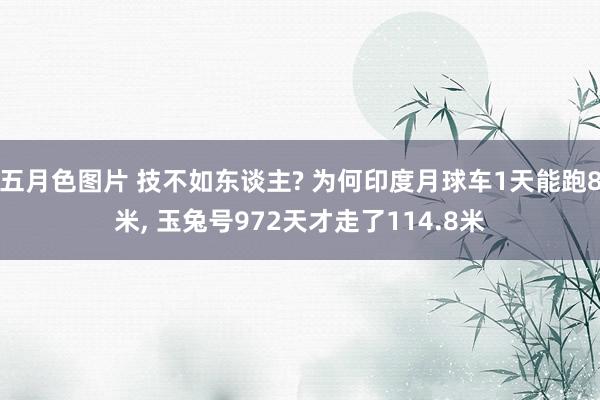 五月色图片 技不如东谈主? 为何印度月球车1天能跑8米， 玉兔号972天才走了114.8米