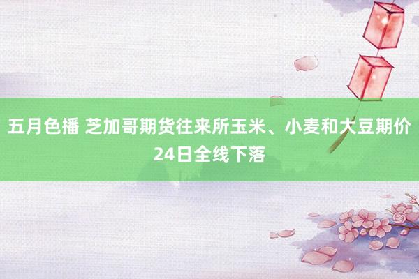 五月色播 芝加哥期货往来所玉米、小麦和大豆期价24日全线下落