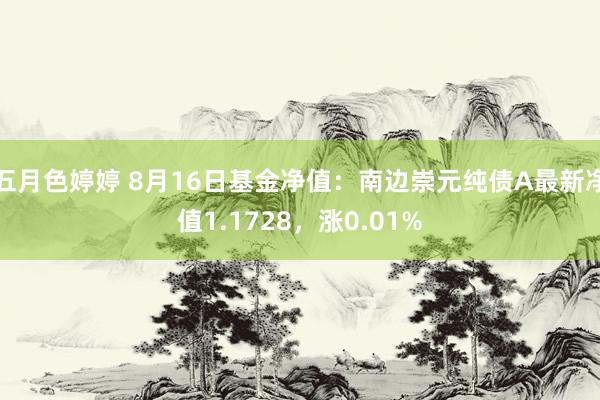 五月色婷婷 8月16日基金净值：南边崇元纯债A最新净值1.1728，涨0.01%