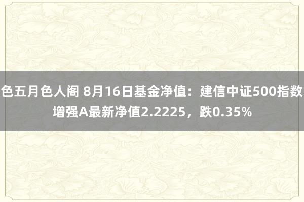 色五月色人阁 8月16日基金净值：建信中证500指数增强A最新净值2.2225，跌0.35%