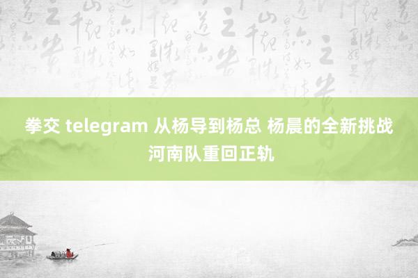 拳交 telegram 从杨导到杨总 杨晨的全新挑战 河南队重回正轨