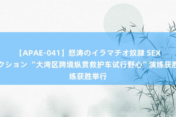 【APAE-041】怒涛のイラマチオ奴隷 SEXコレクション “大湾区跨境纵贯救护车试行野心”演练获胜举行