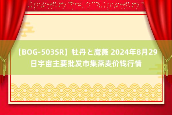 【BOG-503SR】牡丹と魔薇 2024年8月29日宇宙主要批发市集燕麦价钱行情