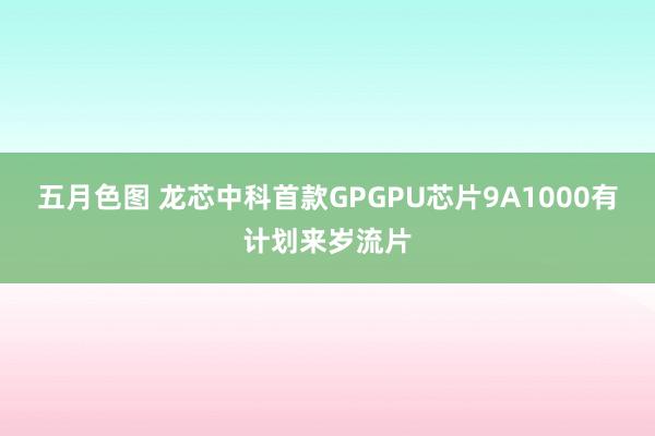 五月色图 龙芯中科首款GPGPU芯片9A1000有计划来岁流片