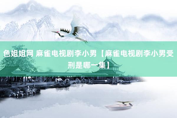 色姐姐网 麻雀电视剧李小男【麻雀电视剧李小男受刑是哪一集】