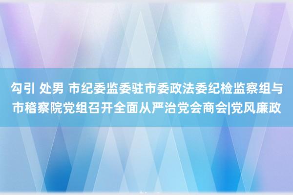 勾引 处男 市纪委监委驻市委政法委纪检监察组与市稽察院党组召开全面从严治党会商会|党风廉政