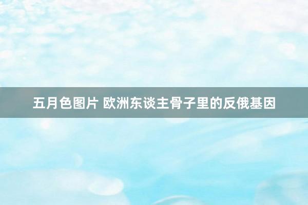 五月色图片 欧洲东谈主骨子里的反俄基因