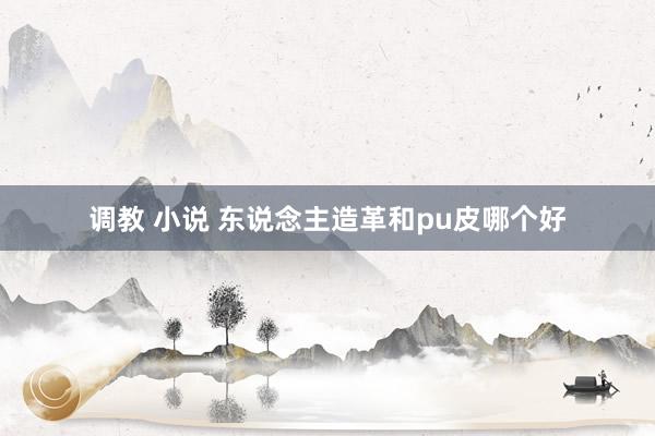 调教 小说 东说念主造革和pu皮哪个好