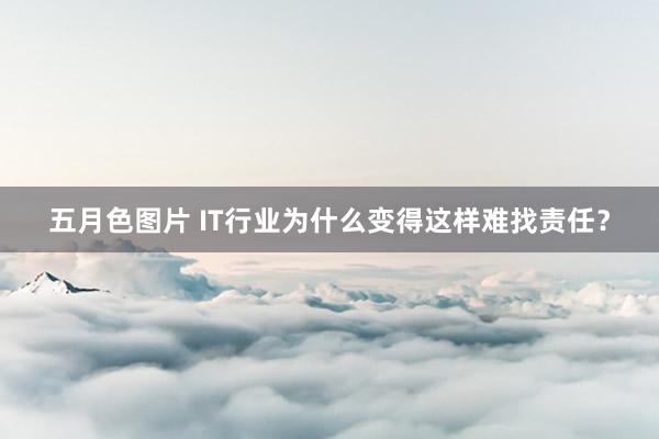 五月色图片 IT行业为什么变得这样难找责任？