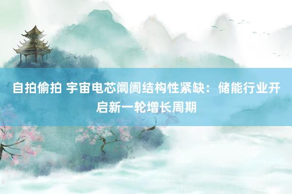 自拍偷拍 宇宙电芯阛阓结构性紧缺：储能行业开启新一轮增长周期