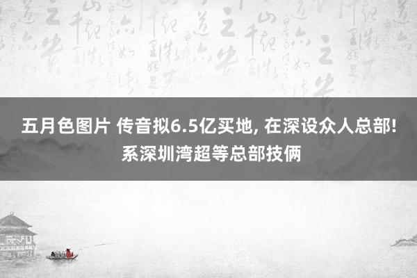 五月色图片 传音拟6.5亿买地， 在深设众人总部! 系深圳湾超等总部技俩
