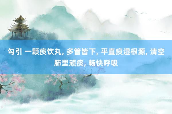 勾引 一颗痰饮丸， 多管皆下， 平直痰湿根源， 清空肺里顽痰， 畅快呼吸