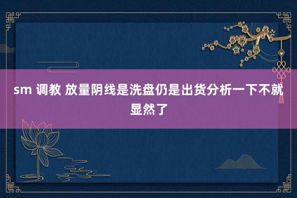 sm 调教 放量阴线是洗盘仍是出货分析一下不就显然了