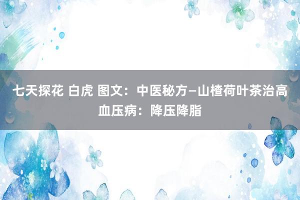 七天探花 白虎 图文：中医秘方—山楂荷叶茶治高血压病：降压降脂