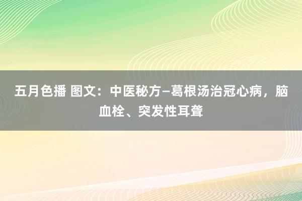 五月色播 图文：中医秘方—葛根汤治冠心病，脑血栓、突发性耳聋