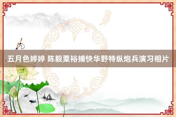 五月色婷婷 陈毅粟裕捕快华野特纵炮兵演习相片