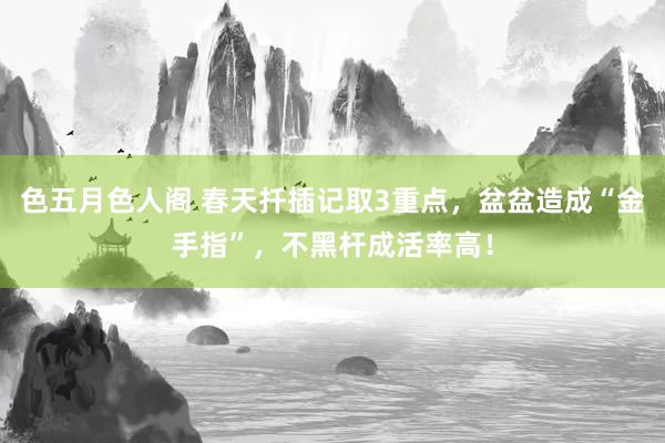 色五月色人阁 春天扦插记取3重点，盆盆造成“金手指”，不黑杆成活率高！